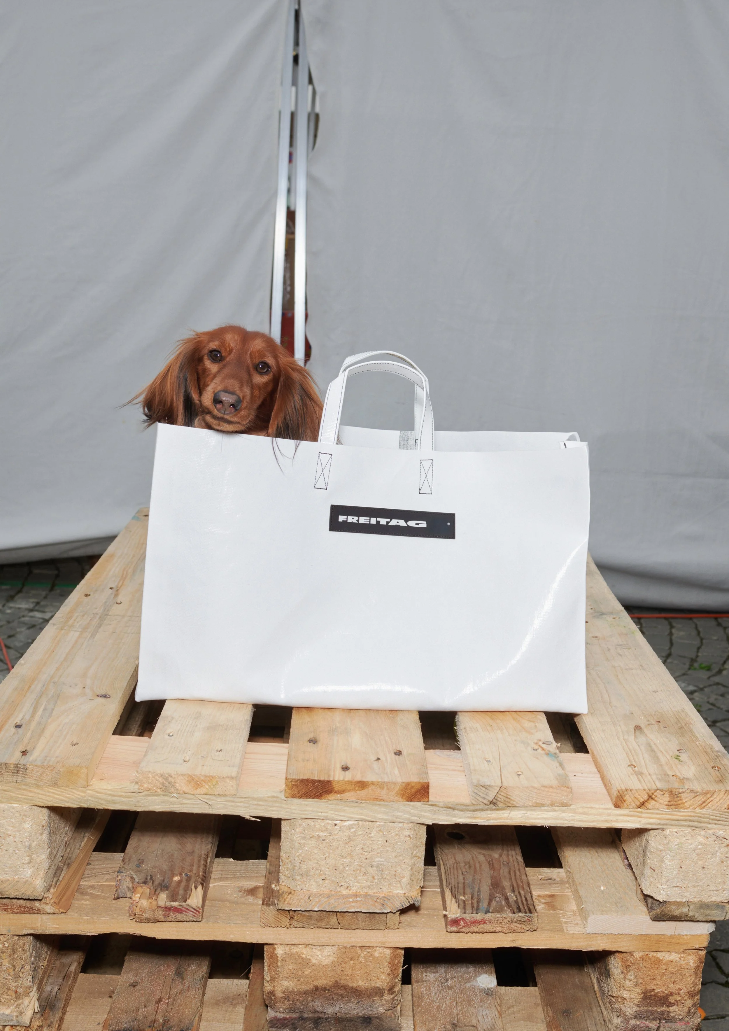 & AMPERSAND ONLINE STORE
